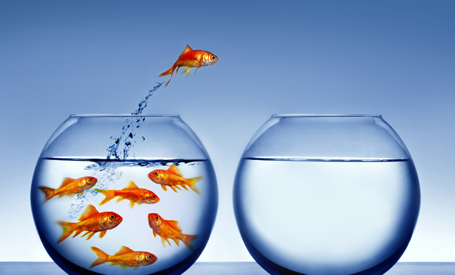 A surprise in the meaning of dreaming about small fish