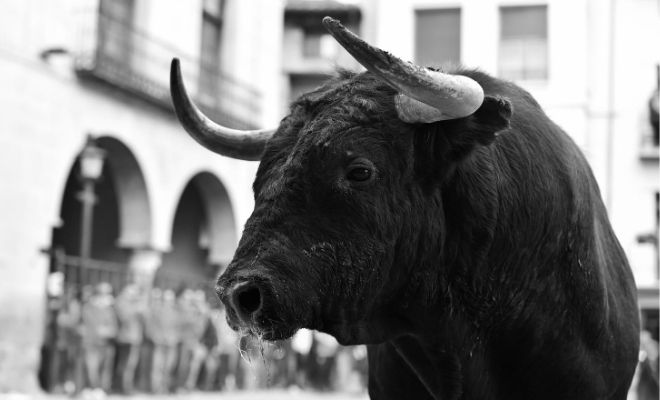Dream meaning: the strength of dreaming of bulls