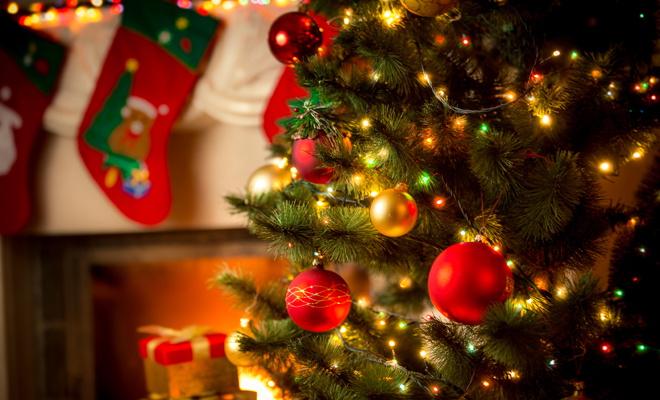 Dreaming of a Christmas tree: ready to enjoy?