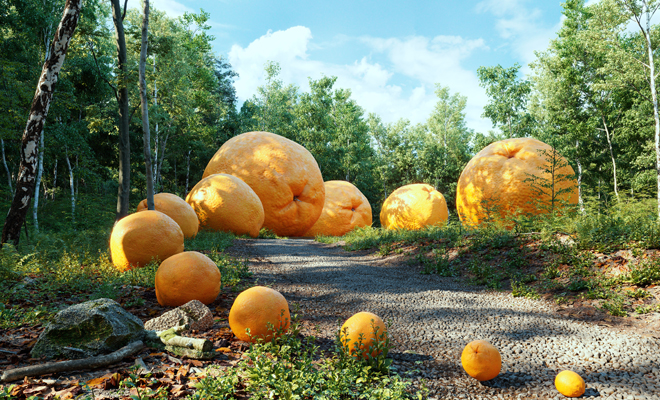 Dreaming of oranges: harness the vitality of your dreams