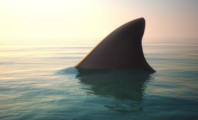 Dreaming of sharks: measuring your strength