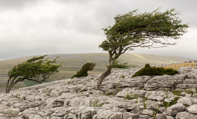 The meaning of dreaming about storms: your worries exposed