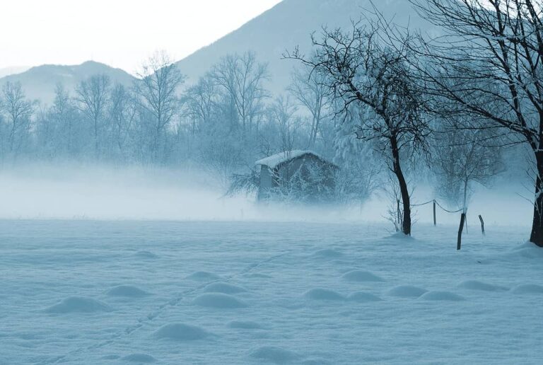 Snow in Dreams: A Fascinating Exploration of Symbolism