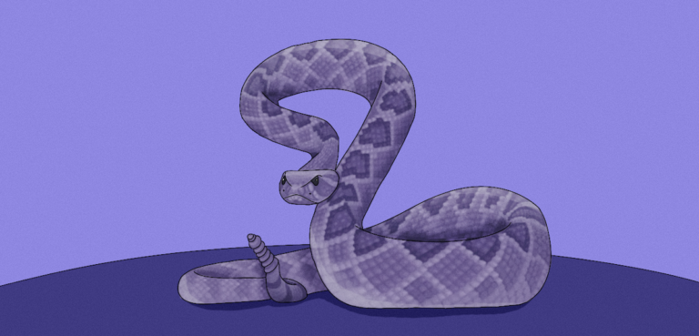 Kill a Snake in Your Dream: Unveiling the Hidden Meanings